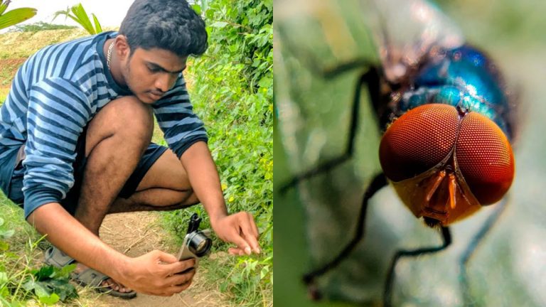 Fotógrafo de India toma impresionantes fotos macro con su teléfono