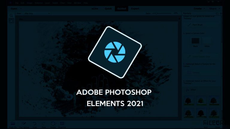 ¿Qué es Adobe Photoshop Elements 2021 frente a Photoshop 2021 ?