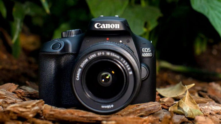 La mejor cámara Canon en 2024: cámaras DSLR, sin espejo y compactas